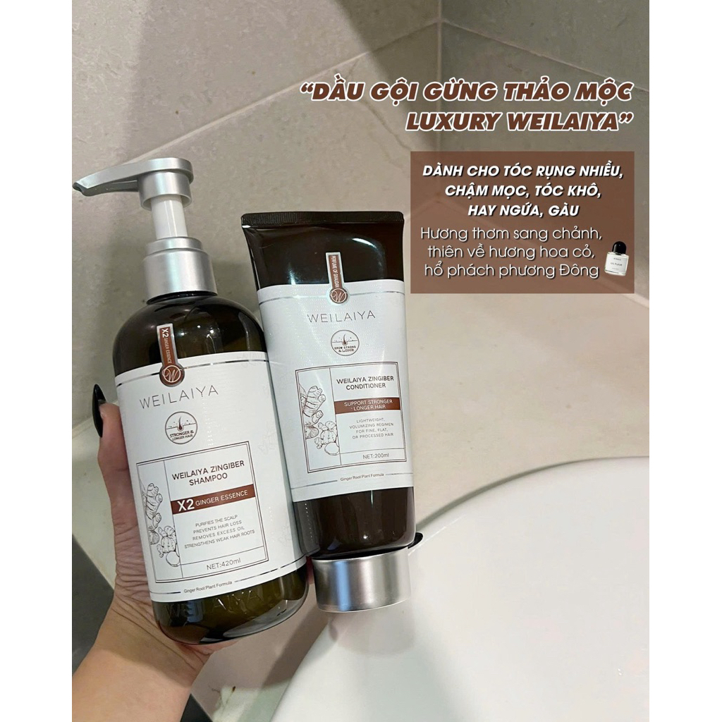 Bộ Dầu Gội Xả Gừng Weilaiya X2 Ginger Essence 420ml+200ml Tặng Sữa Tắm Elvawell 250ml-Hương Nước Hoa