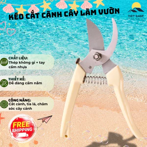 Kéo Cắt Tỉa Cây Cảnh Mini, TIDY SHOP, Kéo Cắt Cành Cây Làm Vườn, Kéo Tỉa Bonsai, Kéo Cắt Hoa Lá Sắc Bén