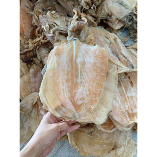 {500g-1kg} Mực lá đại dương siêu dày ngon ngọt size 3-20con/1kg