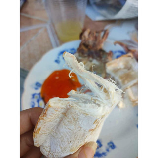 {500g-1kg} Mực lá đại dương siêu dày ngon ngọt size 3-20con/1kg