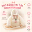 Gấu Bông Thỏ Cute Có Dây Túi Đeo Chéo - Túi Thỏ Bông Siêu Mềm Dễ Thương Cho Bé Và Bạn Gái