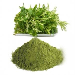 Bột ngải cứu nguyên chất 100% túi 1kg