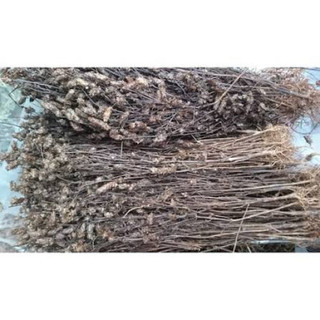 Nhân Trần Khô Nguyên Cây – Loại 1, Thơm Ngon, Không Chất Bảo Quản 1kg