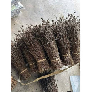 Nhân Trần Khô Nguyên Cây – Loại 1, Thơm Ngon, Không Chất Bảo Quản 1kg