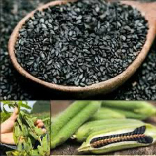 Hũ 500g mè đen rang giòn bảo đảm chất lượng