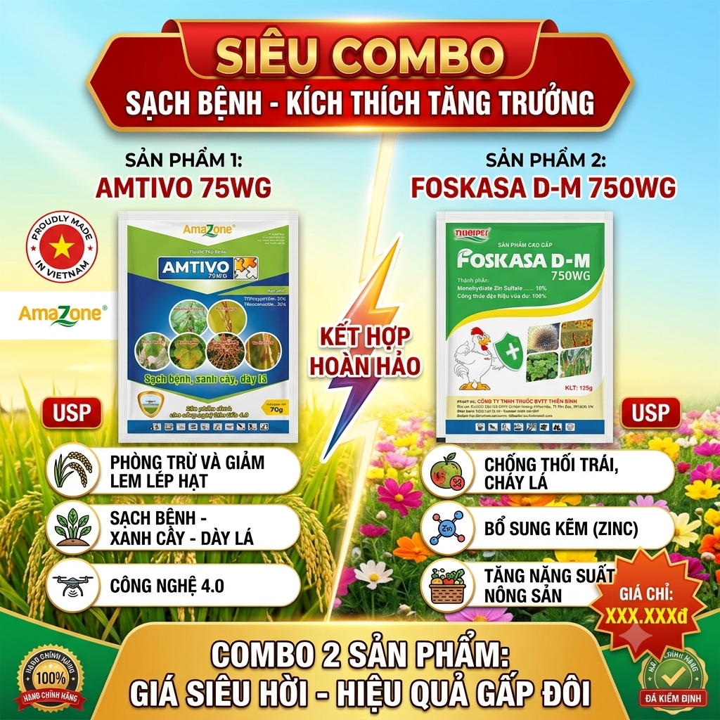 COMBO SẠCH BỆNH TOÀN DIỆN/ AMTIVO 75WG (70g) & FOSKASA D-M 750WG (125g) - Xanh Cây, Dày Lá, Chống Thối Trái & Cháy Lá