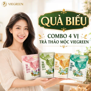 Combo 4 Trà Túi Lọc Thảo Mộc VIEGREEN Không Đường - Sâm Tố Nữ Cà Gai Leo Búp Ổi Đinh Lăng, Quà Biếu