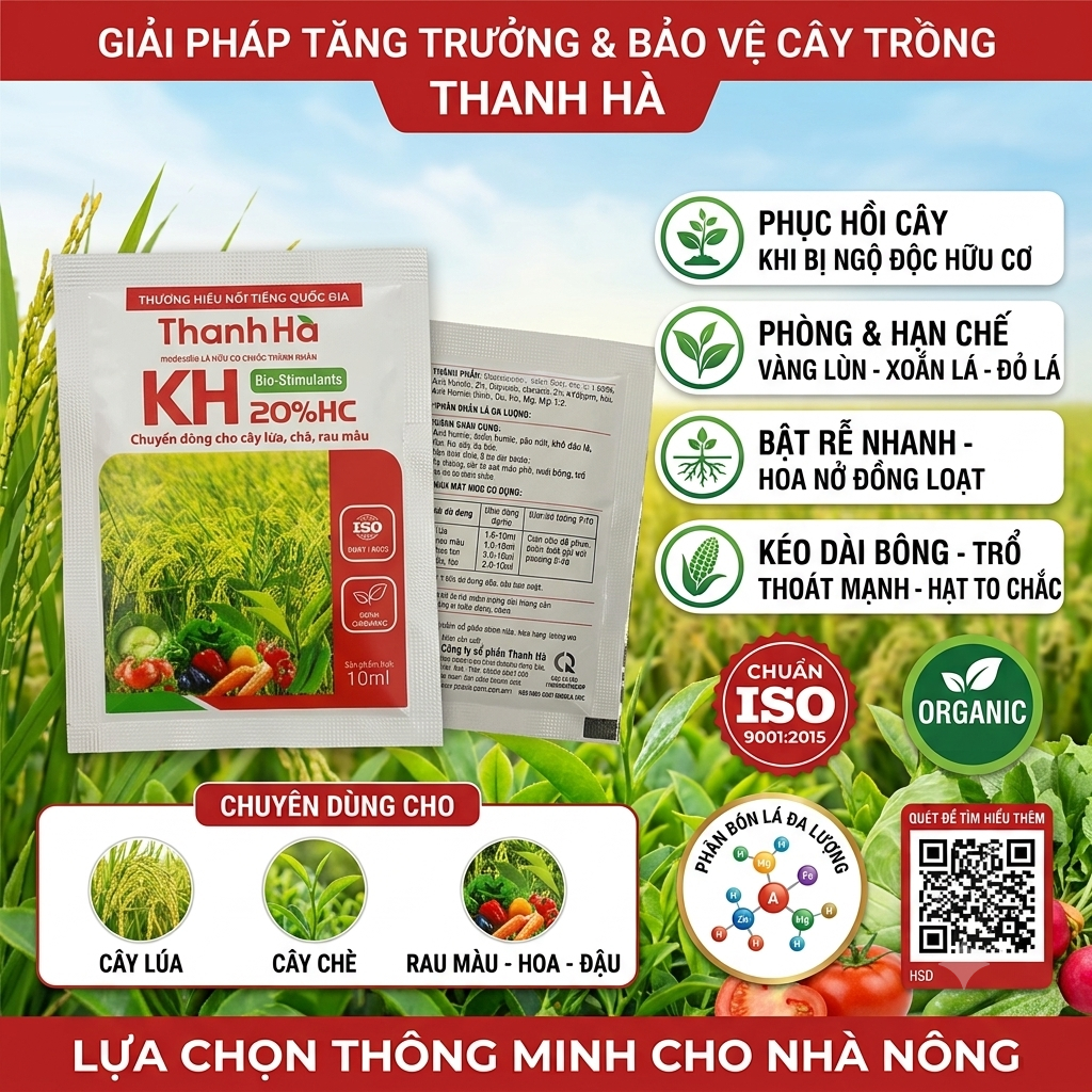💥 PHÂN BÓN LÁ HỮU CƠ THANH HÀ KH 20%HC – GIẢI PHÁP TĂNG TRƯỞNG & BẢO VỆ CÂY TRỒNG TOÀN DIỆN 💥