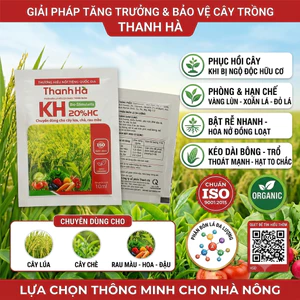 💥 PHÂN BÓN LÁ HỮU CƠ THANH HÀ KH 20%HC – GIẢI PHÁP TĂNG TRƯỞNG & BẢO VỆ CÂY TRỒNG TOÀN DIỆN 💥