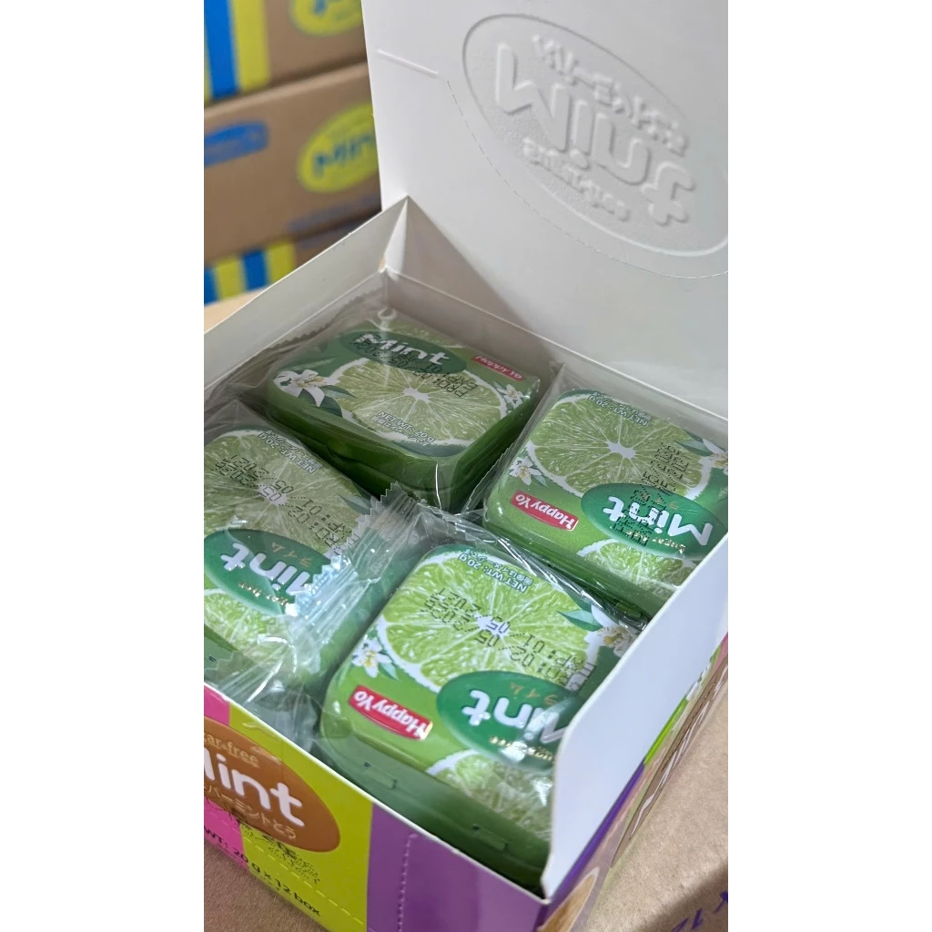 [COMBO 5 HỘP] Kẹo Ngậm Không Đường Hương Trái Cây Mix 12 Vị - Kẹo Ngậm Bạc Hà Hương Trái Không Đường - Kẹo Mint