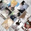 Mật Danh Anastasia | Hộp thẻ card laser 55 tấm BL Manhua | Lomo lomocard card có ánh laser