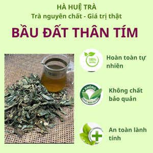 Cây Bầu Đất tím rừng khô tự nhiên, tốt cho phụ nữ, điều kinh, giảm nám, tàn nhang, điều hòa nội tiết