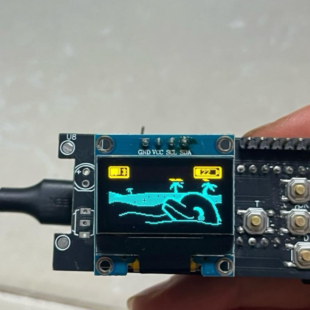 flipper zelo diy