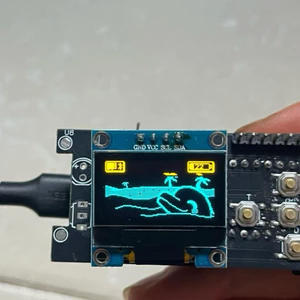 flipper zelo diy