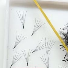 mi fan 5d 0.07 hộp  1000 fan và 500 fan.