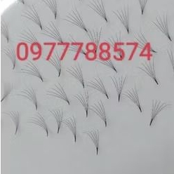 mi fan 5d 0.07 hộp  1000 fan và 500 fan.