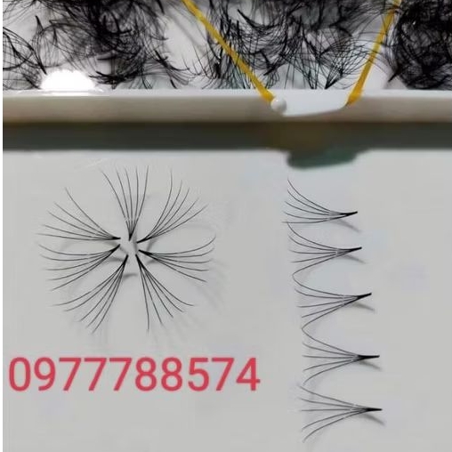 mi fan 5d 0.07 hộp  1000 fan và 500 fan.