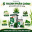 Viên Uống Giảm Cân Đốt Mỡ Bụng Chặn Tinh Bột Giảm Thèm Ăn Eo Thon Dáng Gọn Cho Người Ăn Tinh Bột