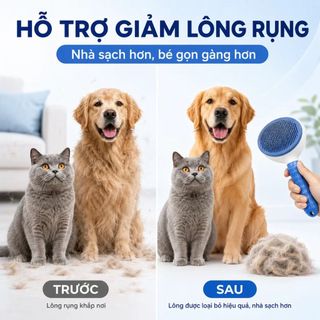 Lược Chải Lông Chó Mèo Đầu Kim Tròn, Bàn Chải Gỡ Rối Loại Bỏ Lông Rụng, Tay Cầm Chống Trượt 3 Màu