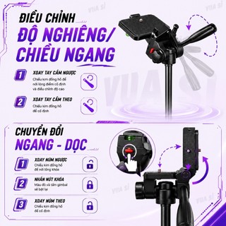Chân Máy Ảnh Máy Quay Ống Nhòm Điện Thoại VUASI Tripod F-180ST Quay 360° Đa Năng Khung Nhôm Cao Cấp