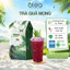 Trà Oolong Otea Quả Mọng Cao Cấp - 500g Hương Quả Mọng Tươi Mới, Ngọt Chua Lạ Miệng - Chuyên Trà Pha Chế