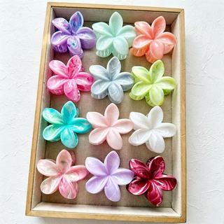 Kẹp Tóc Hoa Sứ Tròn Kẹp Tóc Hoa Nhiều Màu Sắc Phong Cách Hawaii