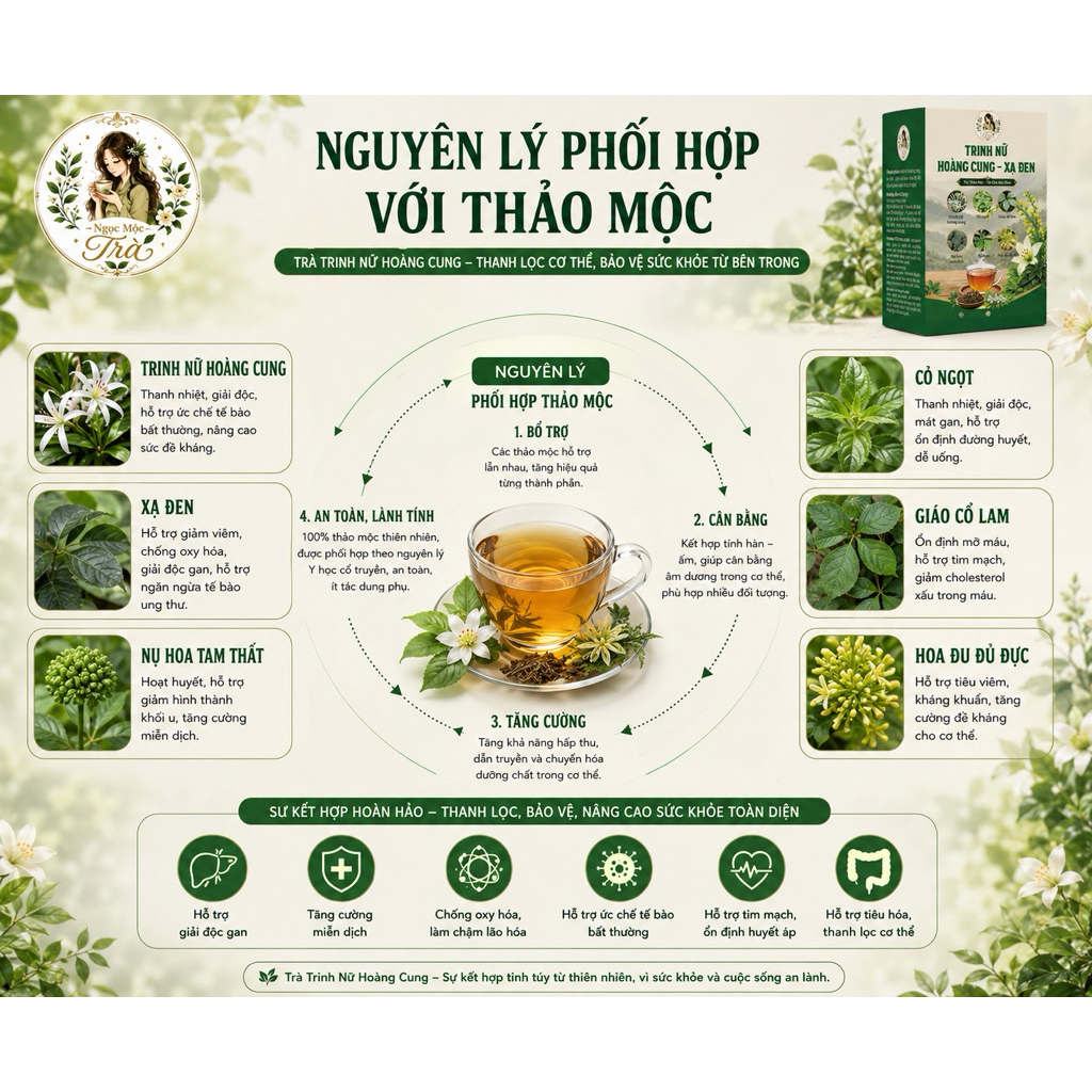 Trinh Nữ Hoàng Cung - Xạ Đen Trà Thảo Mộc 100% Thiên Nhiên Tốt Cho Sức Khỏe