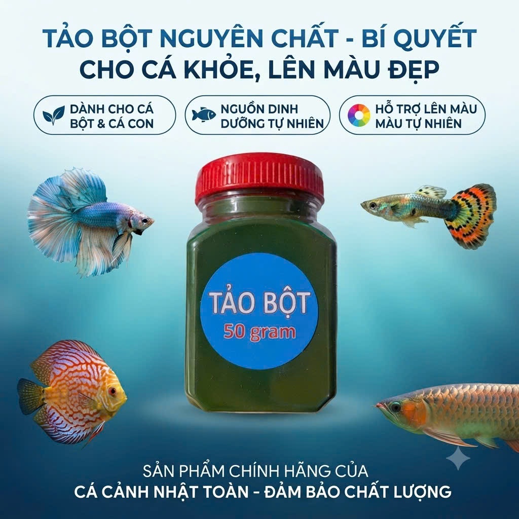 50G TẢO BỘT CHO CÁ LỚN CÁ CON ARTEMIA BOBO RẤT DINH DƯỠNG