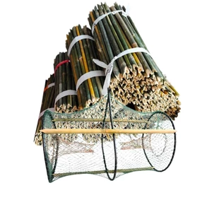 combo 10 lờ cá lóc cải tiến vành nhựa(30*52) tặng 30 cây