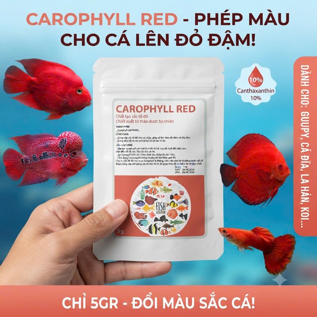 Gói Bột 10gram Carophyll Chất tạo sắc tổ đỏ dành cho cá cảnh ACPharno tăng màu đỏ, kích màu