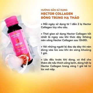 Nước uống collagen Hector đông trùng hạ thảo  hộp 10 chai