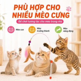 Cần Câu Mèo - Bộ Đồ Chơi Mèo Vui Nhộn, Thiết Kế Chắc Chắn, Phù Hợp Mèo Con & Mèo