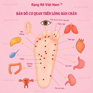 Bàn Lăn Chân Gỗ Massage Bấm Huyệt Lưu Thông Khí Huyết - Bàn Lăn Chân Thư Giãn Giúp Lưu Thông Mạch Máu Chống Tê Mỏi Chân