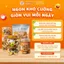 Bánh Đồng Tiền Hạt Dinh Dưỡng, Giòn Thơm, Béo Bùi Tự Nhiên, Đồ Ăn Vặt An Nhiên Foods
