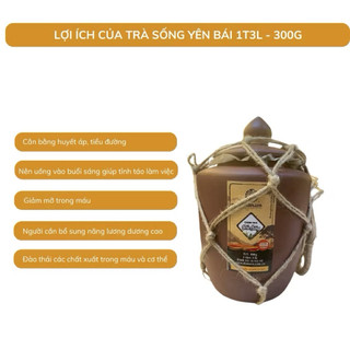 Chum Trà Sống Shanam 300gr, Trà Shan Tuyết Cổ Thụ Trăm Năm Tuổi, Bổ Sung Năng Lượng, Tăng Cường Sức Đề Kháng