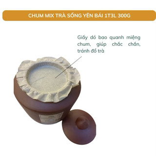 Chum Trà Sống Shanam 300gr, Trà Shan Tuyết Cổ Thụ Trăm Năm Tuổi, Bổ Sung Năng Lượng, Tăng Cường Sức Đề Kháng