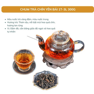 Trà Chín Shanam Hộp 100gr, Trà Shan Tuyết Cổ Thụ 200 Năm Tuổi, Tiêu Hoá Tốt, Ngủ Ngon