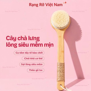 Bàn Chải Khô Lông Mềm Cao Cấp Massage Toàn Thân - Bàn Chải Lông Mềm Mịn Loại 1 Giúp Thư Giãn Giảm Mệt Mỏi