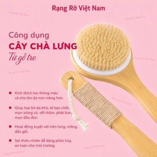 Bàn Chải Tắm Cán Gỗ Massage Toàn Thân - Bàn Chải Tắm Gỗ Tự Nhiên Giúp Tẩy Tế Bào Chết Giúp Da Sáng Khỏe Mịn Màng