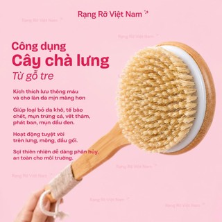 Bàn Chải Tắm Cán Gỗ Massage Toàn Thân - Bàn Chải Tắm Gỗ Tự Nhiên Giúp Tẩy Tế Bào Chết Giúp Da Sáng Khỏe Mịn Màng