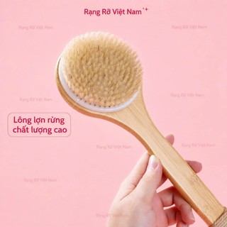 Bàn Chải Tắm Cán Gỗ Massage Toàn Thân - Bàn Chải Tắm Gỗ Tự Nhiên Giúp Tẩy Tế Bào Chết Giúp Da Sáng Khỏe Mịn Màng
