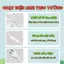 Quạt Treo Tường 8 Cánh Xoay Điều Chỉnh Linh Hoạt, Quạt Mát Không Gây Ồn Tiết Kiện Điện, Bền Bỉ [ Tặng Miếng Dán Tường ]