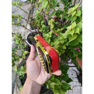 Máy giảng pháp V52 Thầy Nhuận Đức,  gồm 1700 bài pháp thoại
