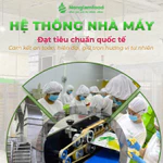 [10 Túi Tặng 2] Combo 10 túi Mix hỗn hợp trái cây sấy dẻo Nonglamfood túi 100g, Tăng cường chất xơ — ảnh 5