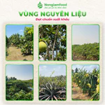 [10 Túi Tặng 2] Combo 10 túi Mix hỗn hợp trái cây sấy dẻo Nonglamfood túi 100g, Tăng cường chất xơ — ảnh 7