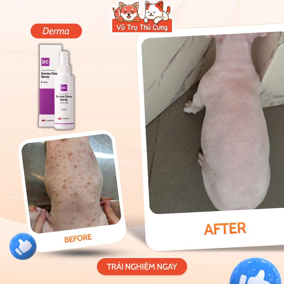 Dung Dịch Xịt Nấm Cho Chó Mèo Derma CareSide 100ml / Fungikur 50ml