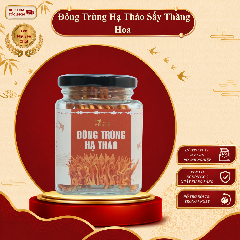 Đông Trùng Hạ Thảo Loại 1 Sấy Thăng Hoa Hũ Nhỏ 5 gram