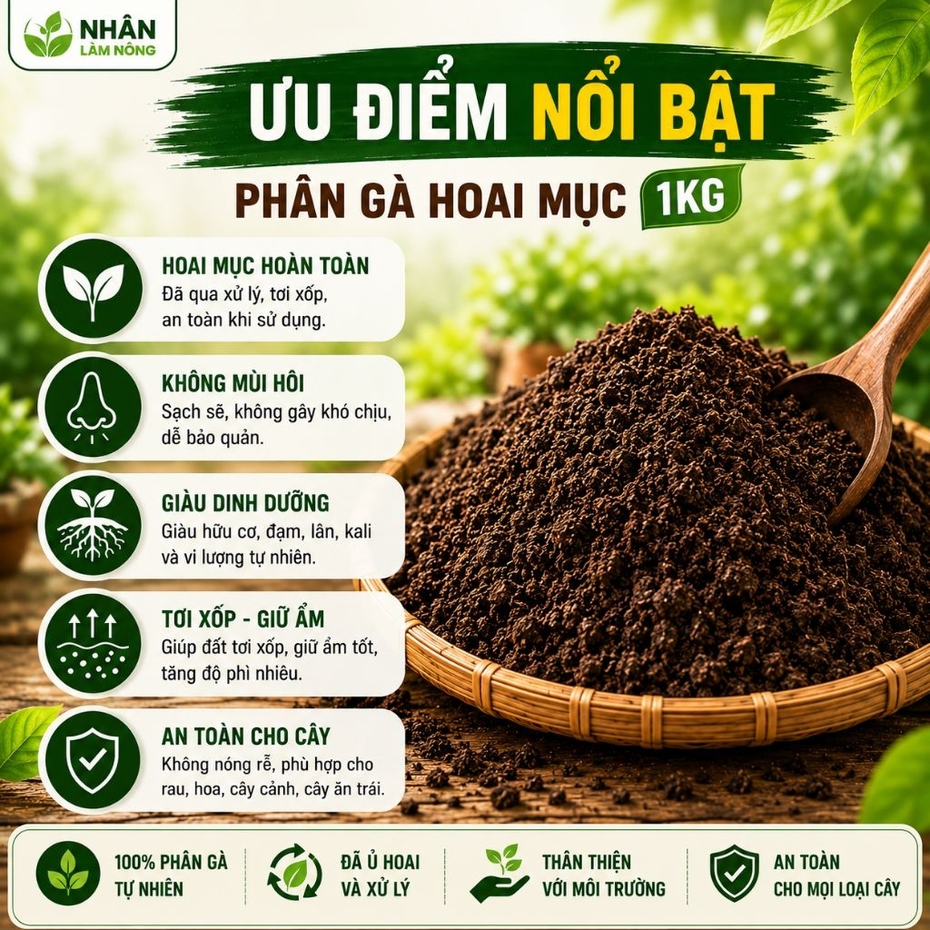 Phân Gà Hoai Mục 1kg Đã Xử Lý - Phân Hữu Cơ Sạch Không Mùi, Bón Rau, Hoa, Cây Cảnh, Cây Ăn Trái