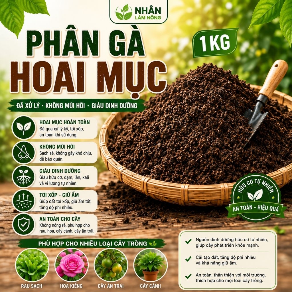 Phân Gà Hoai Mục 1kg Đã Xử Lý - Phân Hữu Cơ Sạch Không Mùi, Bón Rau, Hoa, Cây Cảnh, Cây Ăn Trái