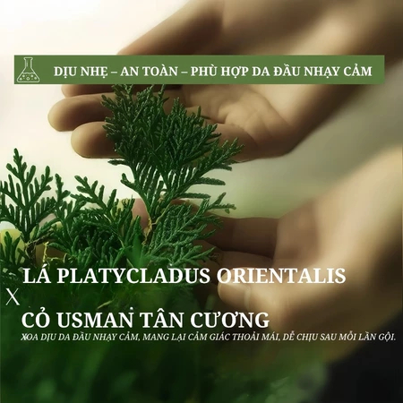 Xà phòng gội đầu thảo dược 7 lá xanh với lá bách, cỏ Usma, Hà Thủ Ô thủ công tự nhiên, củng cố chân tóc, ngăn rụng gãy